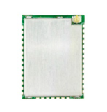 N629PA-CC1354R10 CC1190 CC2592 Module, +27dBm